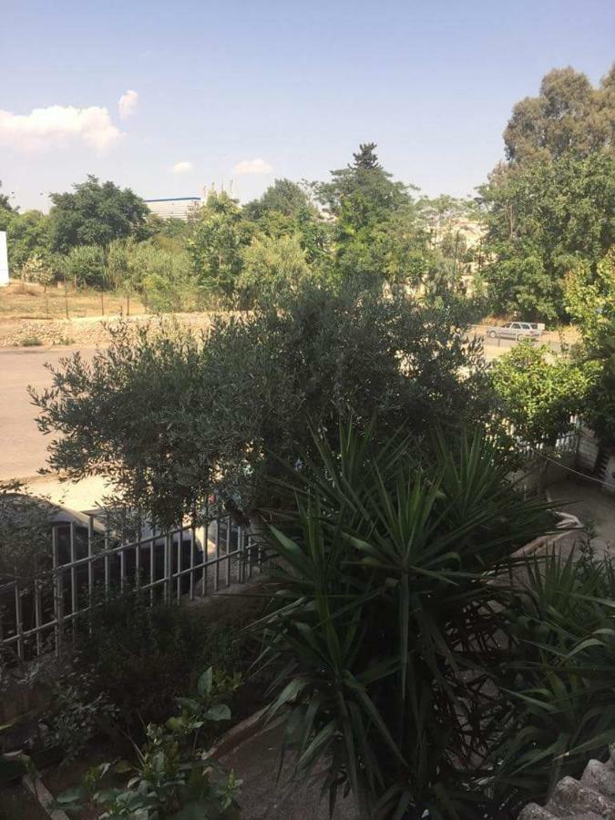 Cozy Apartment Near Metro Station Agia Marina เอเธนส์ ภายนอก รูปภาพ